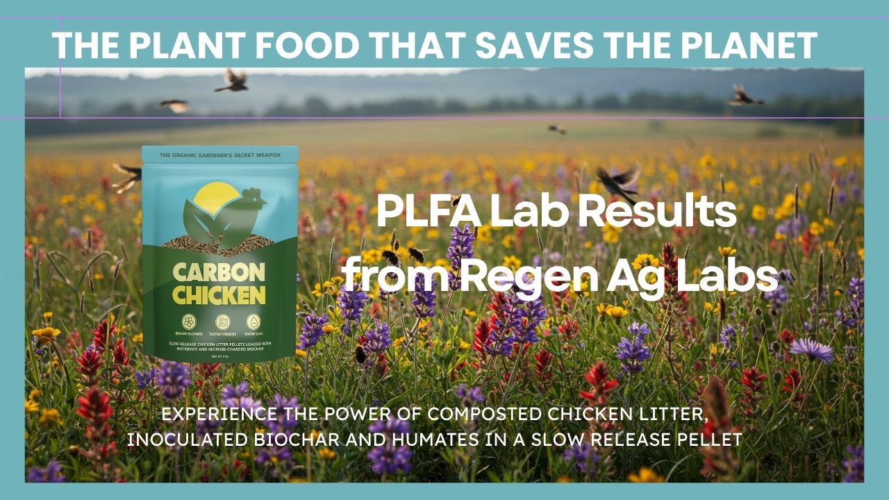 PLFA Lab Results from RegAg Labs for CC80:20