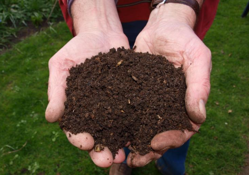 Food Waste Compost with Biochar Blend