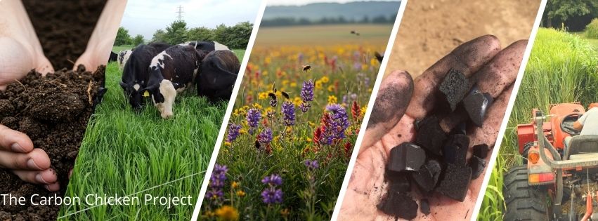 Carbon Chicken Project